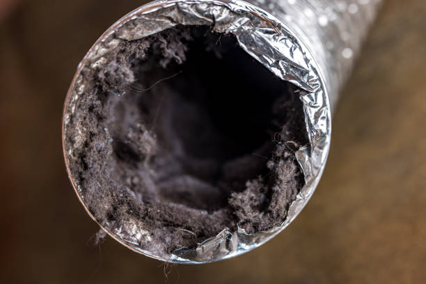 Best Local Air Duct Cleaning Services  in Waimalu, HI